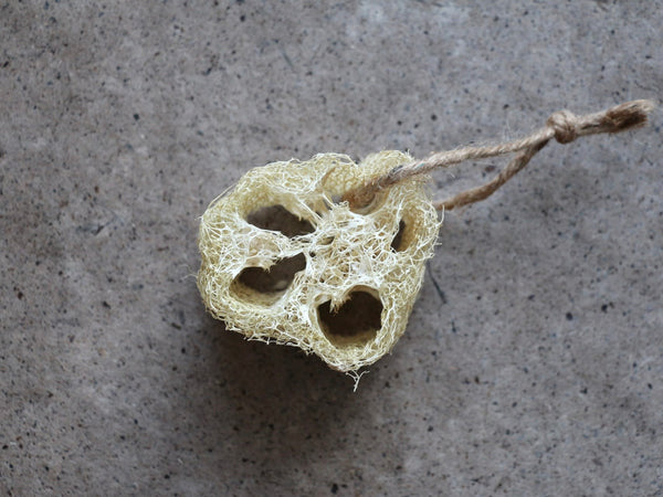 Loofah/Luffa - Home Grown & Organic