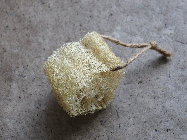 Loofah/Luffa - Home Grown & Organic