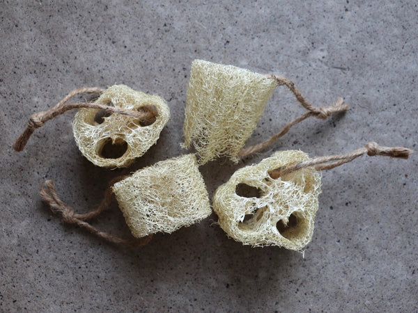 Loofah/Luffa - Home Grown & Organic